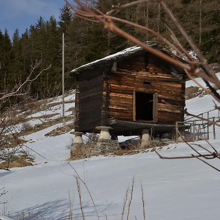 Haus Bergtreu Daire *