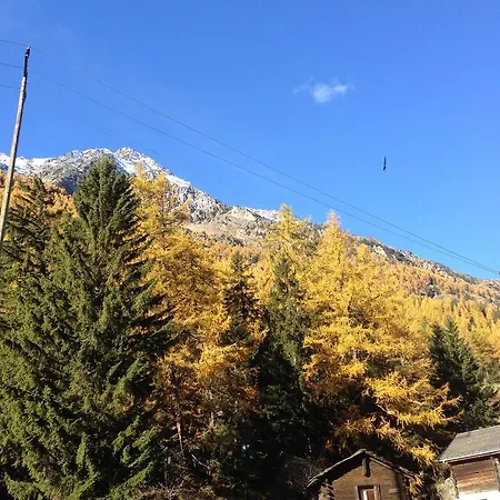 Haus Bergtreu Apartman
